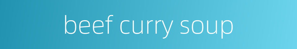 beef curry soup的同义词