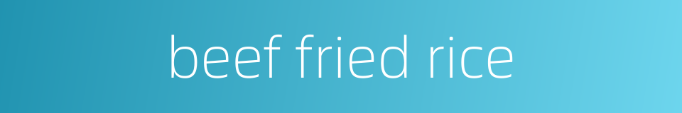 beef fried rice的同义词
