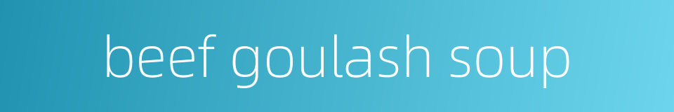 beef goulash soup的同义词