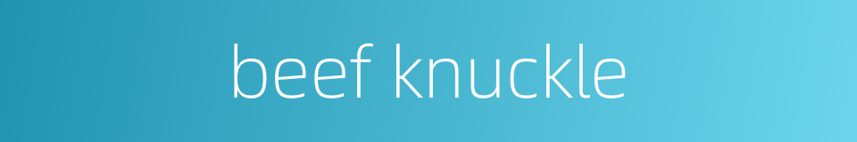 beef knuckle的同义词