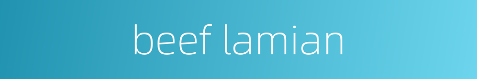 beef lamian的同义词
