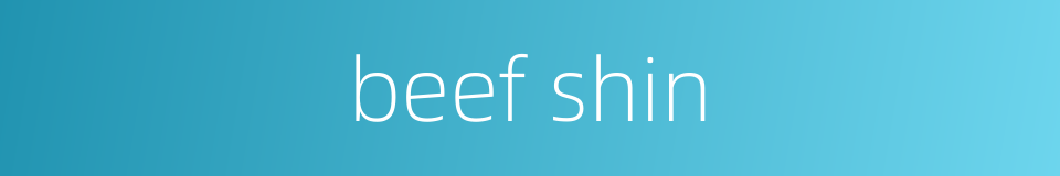 beef shin的同义词
