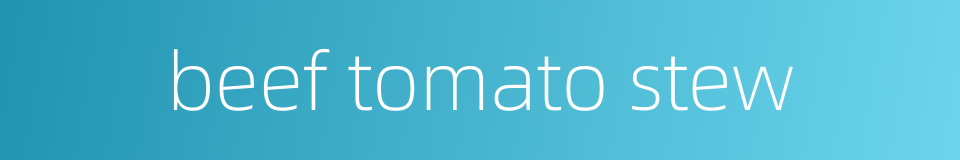 beef tomato stew的同义词