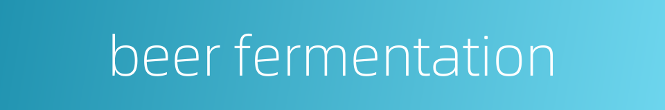 beer fermentation的同义词