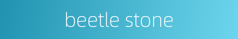 beetle stone的同义词