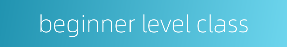 beginner level class的同义词