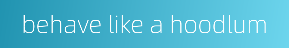 behave like a hoodlum的同义词