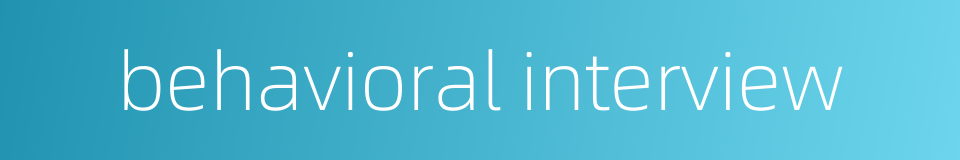 behavioral interview的同义词
