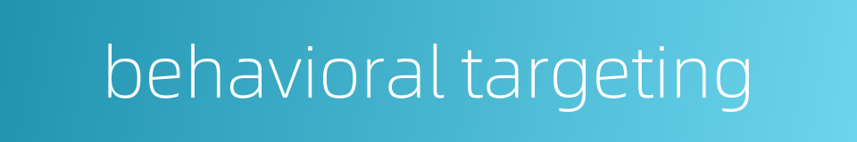 behavioral targeting的同义词