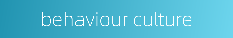 behaviour culture的同义词