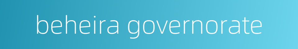 beheira governorate的同义词