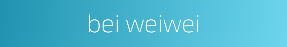 bei weiwei的同义词