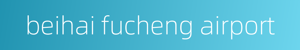 beihai fucheng airport的同义词