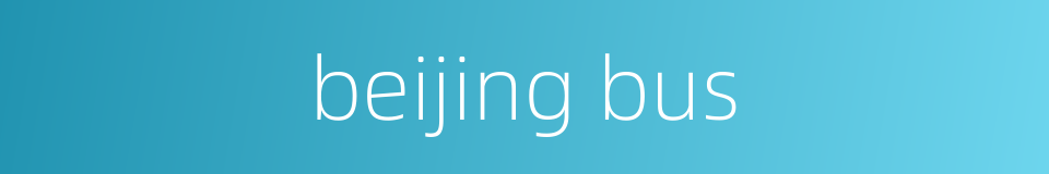 beijing bus的同义词