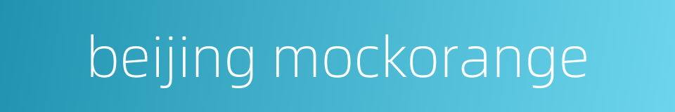beijing mockorange的同义词