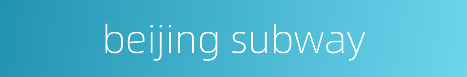 beijing subway的同义词