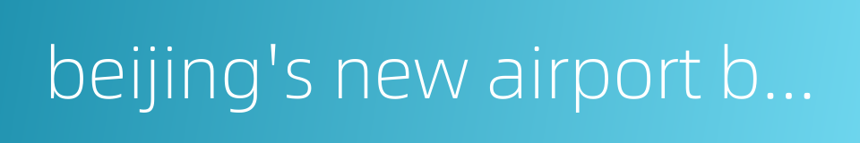 beijing's new airport beijing-daxing international airport的同义词