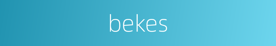 bekes的同义词
