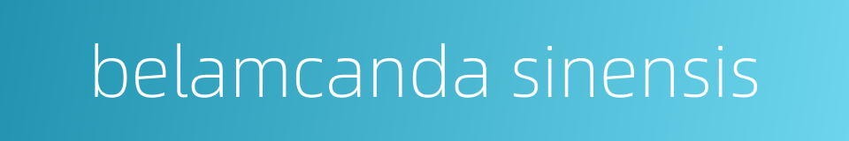 belamcanda sinensis的同义词