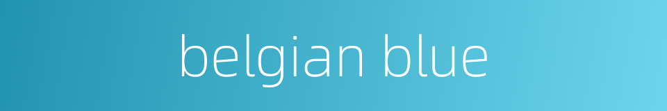 belgian blue的同义词