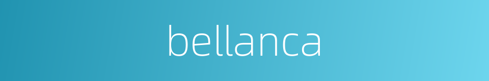 bellanca的同义词