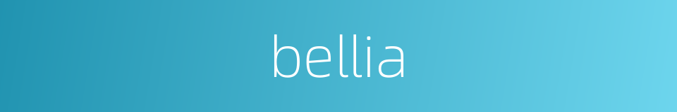 bellia的同义词