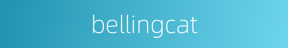 bellingcat的同义词