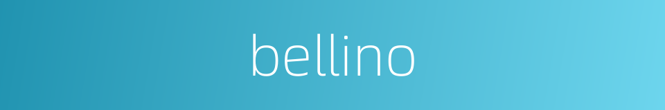 bellino的同义词