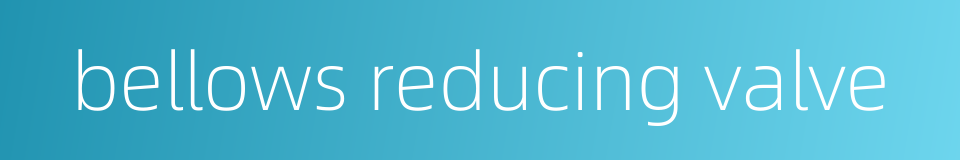 bellows reducing valve的同义词