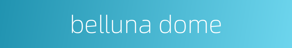belluna dome的同义词