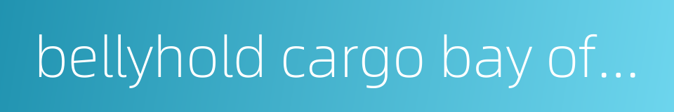 bellyhold cargo bay of a plane的同义词