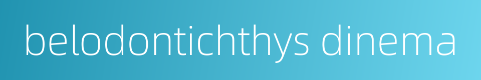 belodontichthys dinema的同义词