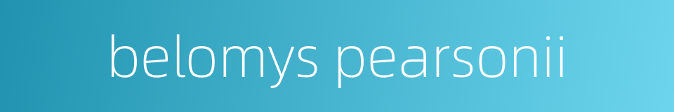 belomys pearsonii的同义词