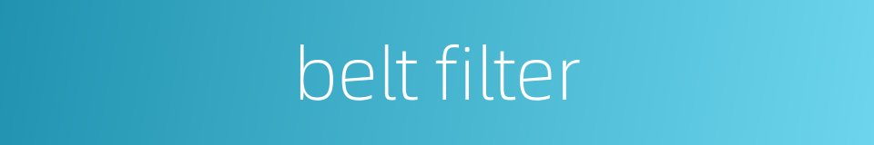belt filter的同义词