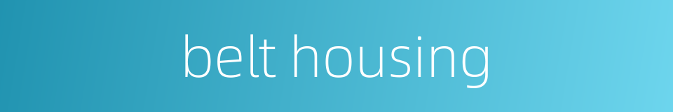 belt housing的同义词