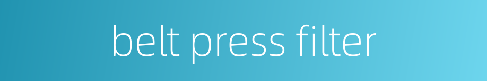 belt press filter的同义词
