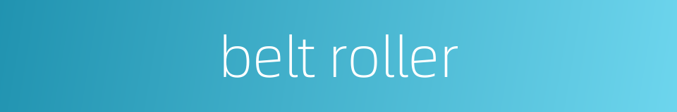 belt roller的同义词