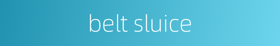 belt sluice的同义词