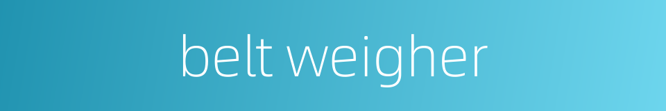 belt weigher的同义词