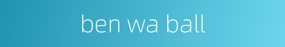 ben wa ball的同义词