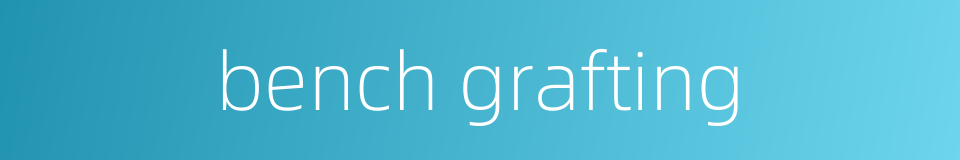 bench grafting的同义词