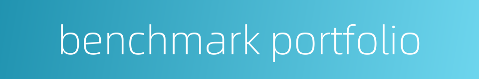 benchmark portfolio的同义词