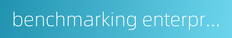 benchmarking enterprises的同义词