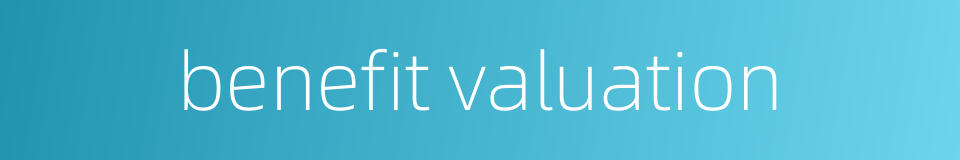 benefit valuation的同义词