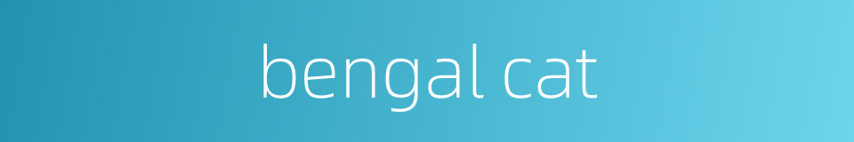 bengal cat的同义词