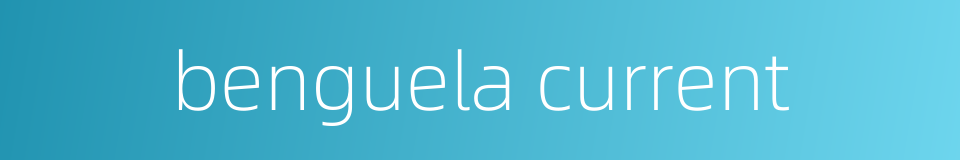benguela current的同义词