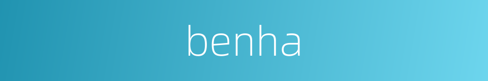 benha的同义词
