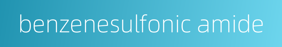 benzenesulfonic amide的同义词