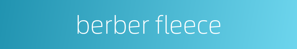 berber fleece的同义词