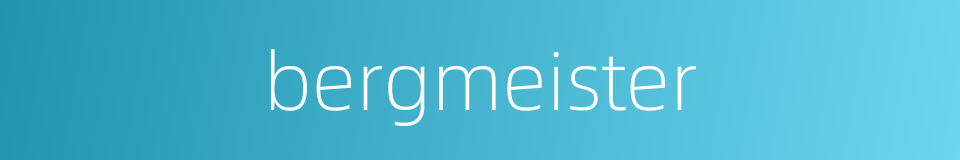 bergmeister的同义词